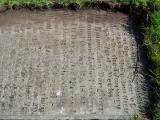 image of grave number 947509
